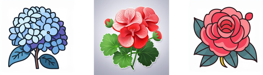 Three flower illustrations show a blue hydrangea, a red geranium with green leaves, and a pink rose with green leaves.