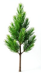Isolated Thuja sprig against a plain white background, minimalism, simplicity, background