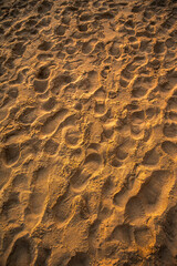 Footprints in the sand