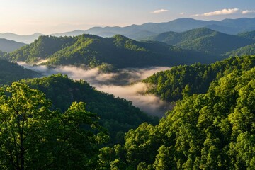 Obraz premium Smoky Mountain sunrise view; mist rolling in. Use for travel or landscape