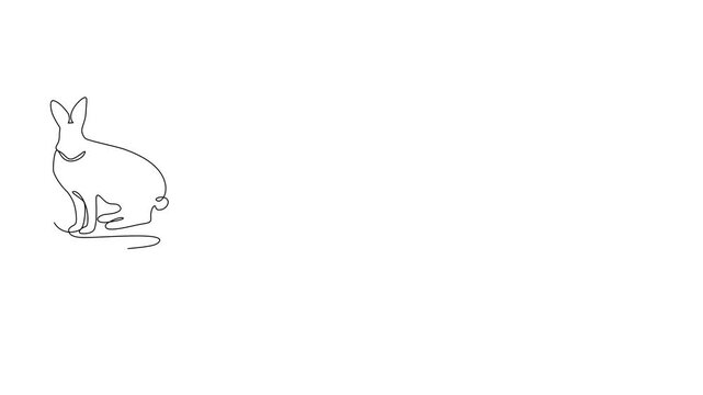 Hare and tracks, animated self drawing of single continuous line, continuous contour movement, video drawing of line in 4k, hare feet steps, rabbit paw silhouettes stamps, trace of animal