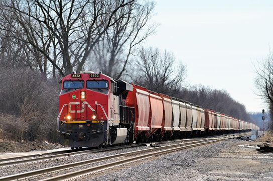 A Canadian National Railway locomotive leads a grain train along a stretch of double track in northwest suburban Chicago.