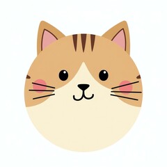 cute cat round face on white background
