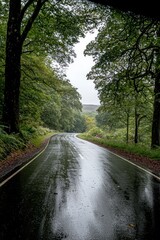 A winding, rain-soaked road surrounded by lush greenery and trees.