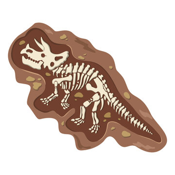 Fossils And Paleontology clip art preview