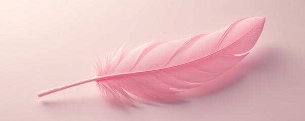 Feather's gentle curves against pale background, airy, light