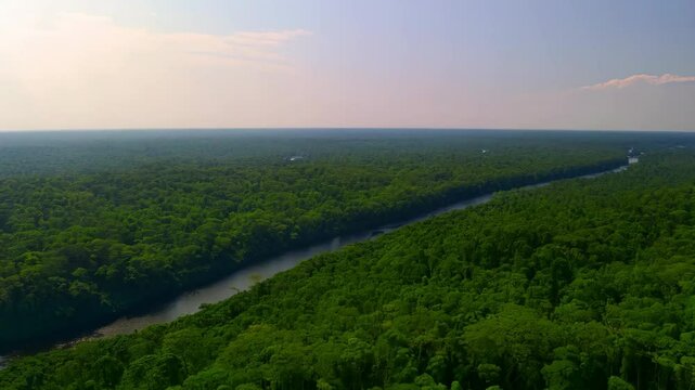 Aerial view of sprawling Amazon rainforest, winding river cutting through lush green canopy, revealing untouched wilderness beneath cloudless azure sky