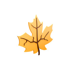 a 3D icon render maple leaf on white background 
