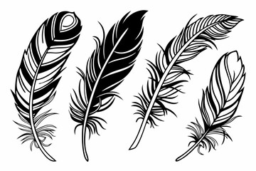 Obraz premium set of Feather silhouette vector illustration