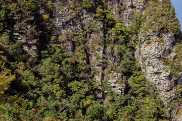 View of mountainous landscape with layers of hill. Green environment conservation. Reserve forest. Earth's Lungs. Green concept. 