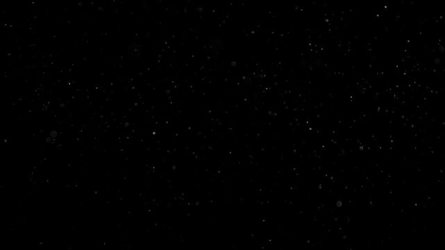 Natural Organic Dust Particles Floating On Black Background. Glittering Sparkling Particles Randomly Spin In The Air With Bokeh. Dynamic Particles With Fast And Slow Motion. Shimmering Dust In Space.	