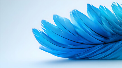 A vibrant blue feather showcasing intricate details and smooth textures against a soft background.