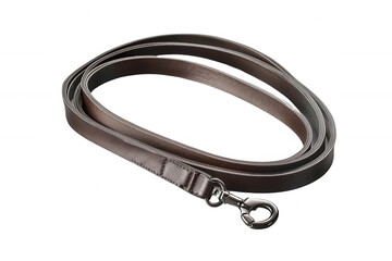 Dark Brown Leather Dog Leash with Silver Snap Hook Coiled