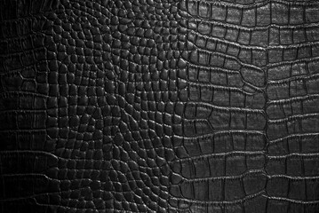 crocodile leather texture closeup background