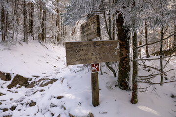 Maddron Bald and Snake Den Ridge Trail Signs