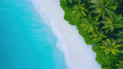 Aerial view of a tropical beach with turquoise waters and palm trees