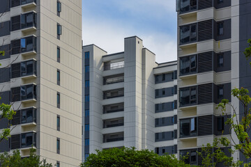 Modern residential building garden landscape