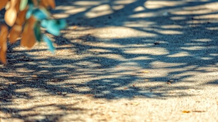 Dappled Sunlight   Shadows on Pavement   Summer Urban Texture