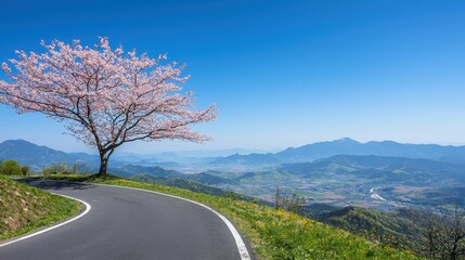 Fototapeta premium Tree with pink flowers alongside a scenic mountain road in springtime