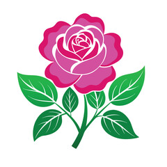 China Rose Flower Vector On White Background