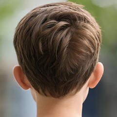 Fototapeta premium Back of Child's Head with Short Brown Hair