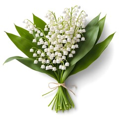 Obraz premium Lily of the Valley Bouquet