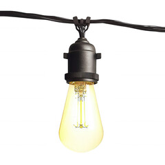 Teardrop Shaped LED Bulb Hanging from Weatherproof Cord