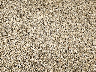 Background texture large pile of raw coffee beans, highlighting the intricate details of their shape and natural color variations