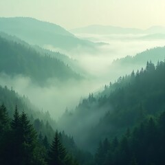Marine layer mist in green forest. Poster background. Mountain landscape with fir trees, fog, haze. Cold morning scenic nature valley, national park, hiking tourism background.