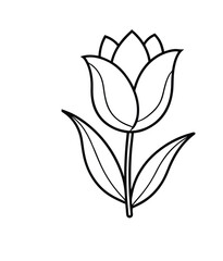 Tulip Flower Line Art vector On White background