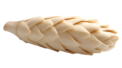A beautiful, artistic depiction of a natural pine cone in elegant details.