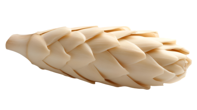 A beautiful, artistic depiction of a natural pine cone in elegant details.