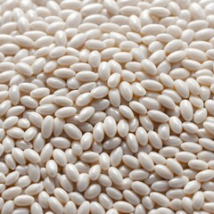 Close-up of White Oval Capsules