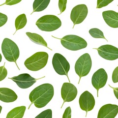 Fototapeta premium Fresh Spinach Leaves Pattern
