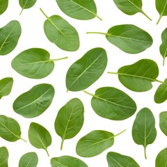 Fototapeta premium Fresh Green Spinach Leaves Isolated on White Background