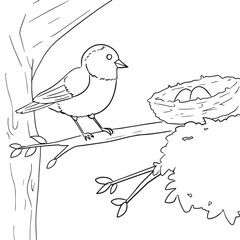 Bird Near Nest