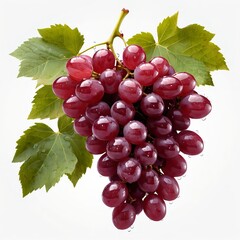 Fototapeta premium Fresh Red Grapes with Dew Drops