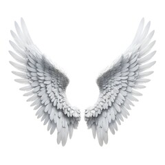 Obraz premium White Angel Wings Isolated on White Background