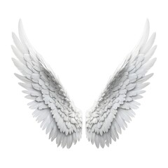 Obraz premium White Angel Wings Isolated on White Background