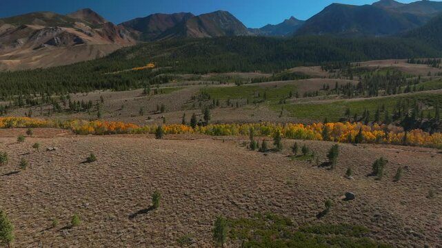 Bike Trails Mammoth Mountain Lakes Ski Area Sierras Crowley Lake Mary Convict Canyon Volcom Brother Skatepark aerial drone California autumn fall yellow Aspen Trees sunny blue sky forward pan up