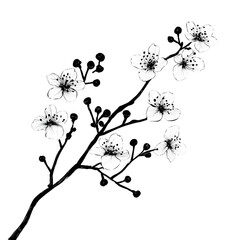 Elegant Black and White Blossom Branch:  Floral Art
