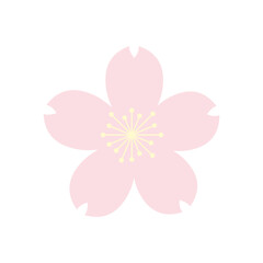 Fototapeta premium かわいい桜の花のイラスト