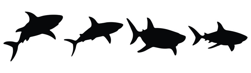 Shark on white background. Collection of shark silhouettes in various forms. Side view and full body of shark for design. Vector illustration.