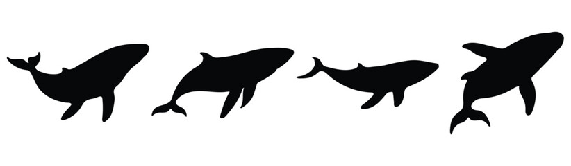 Whale on white background. Collection of whale silhouettes in various forms. Side view and full body of whale for design. Vector illustration.
