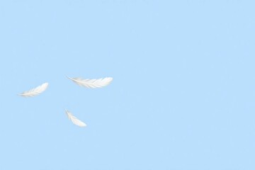 Three white feathers flying in triangular formation on light blue sky
