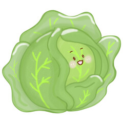 cabbage