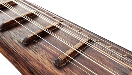 Close-up of wooden zither strings and frets