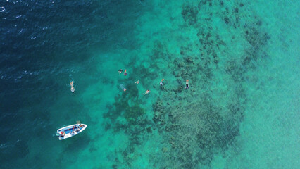 coral reef in the blue sea