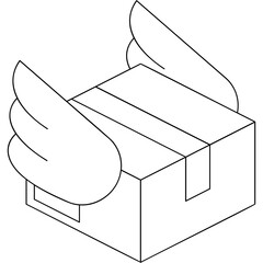 Express Delivery Icon