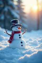 Frosty landscape with snowman in the background, winter, snowman, cold